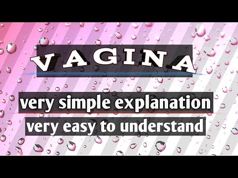 Female reproductive system, Internal Genitalia, vagina, structure of vagina, anatomy and physiology