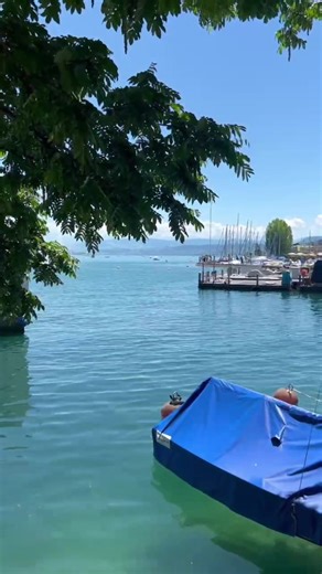 Ozuna Concert en Zürich: ¡Una Noche Inolvidable!