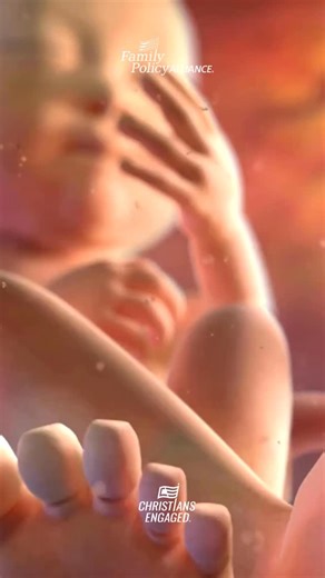 9K reactions · 3.6K shares | Every life is worthy of protection because it was created by God with infinite value. #prolife #prolifegen #biblicalworldview | Family Policy Alliance | Facebook