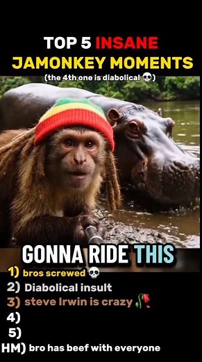 These JAMONKEY moments are INSANE 😭 - #funny #top5 #jamonkey #aianimals #trending #viral #comedy