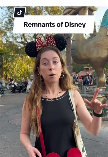 Memorable Encounter with Ryan Seacrest at Disney