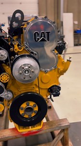 3.2K views · 99 reactions | Cat Got Your Tongue?! You bet yeah! With...