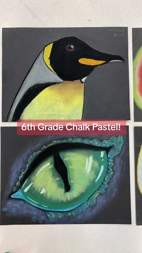 6th grafe chalk pastel nature drawings! I only teach 1 class of 6th grade this year (the rest are 8th), and they rocked this project! #art #drawing #chalk #chalkpastel #artteachersoftiktok #artteacher #arteducation #artlessons #artclass #artteacher #middleschoolartteacher #middleschoolart