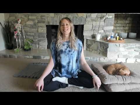 5-Minute Excerpt | Spinal Flow Reset – Full-Body Meditation — Now with Clearer Audio