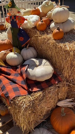 We’ve got it all for Fall 🍂🌽🎃 Catch the last two days of Spooky Science at Discovery Cube Los Angeles! Get hands-on with fun & learning. Spooky Science is included with membership or general admission! Learn more at https://www.discoverycube.org/los-angeles/events/spooky-science-event/ | Discovery Cube