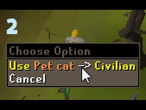Selling cats - Solo Runescape progress 2