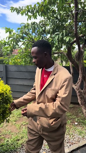 How to Check ZIMSEC Results Online Easily