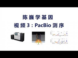 【陈巍学基因】 视频3：Pacific Biosciences Sequencing