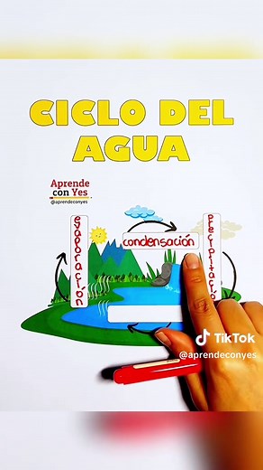 Ciclo del Agua: Cómo Funciona y sus Etapas Clave