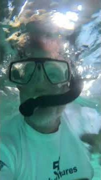 Snorkeling with the sharks in La Jolla Cove is always a great day ￼