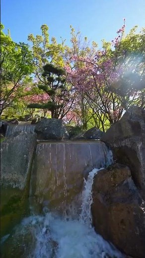 Le plus beau jardin japonais à deux pas de Lille !