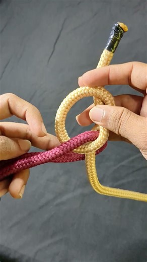 Learn This Knot the Right Way 🪢 #knots