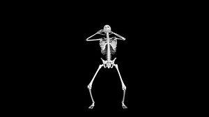Skeleton movements. Animation footage. 3D animation of skeleton