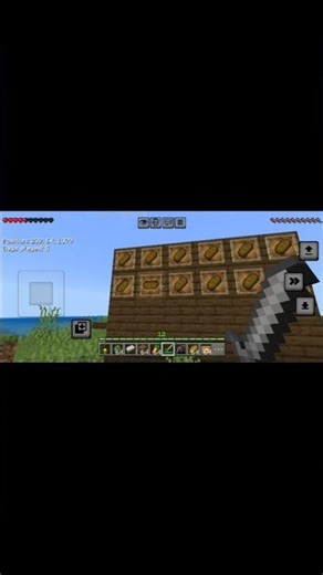 I Made a Vada Pav Song in Minecraft