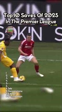 Top 10 Saves of 2025 in the Premier League