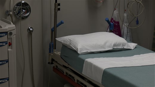 Doctors share lifesaving tips after rare rattlesnake encounter in Middle Tennessee