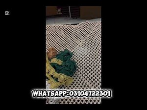 \tLatest Colorful Milky Laces Collection | Best Prices | The Thread Stories