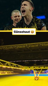 Es ist einfach wunderschön 🤩 🎥 leoiraheta1 via Tik Tok | Mein Herz ist schwarz-gelb