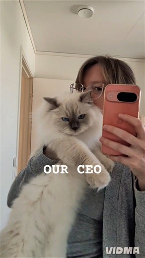 Under my cat control 🐈