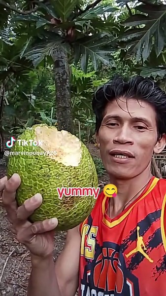 Delicious Bread Fruit Recipes to Try