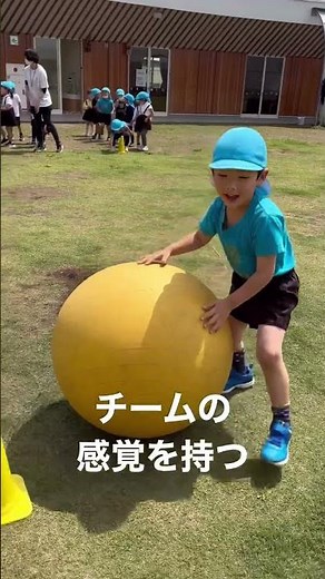 大玉転がしリレー♪遊びの中には、さまざまな育ちの要素がたくさんあります♪#保育士 #大玉転がし#保育 #運動会