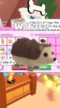 W trade for a hedgehog! #gaming #adoptme #roblox #rblx #adoptmepets #trades #trading #wfl