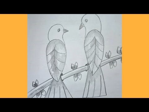 How to draw two birds/Two Love Birds Drawing Picture Easy