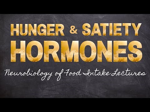 Hormones of Hunger and Satiety | Part 10 Neurobiology of Food Intake | Macronutrients Lecture 46