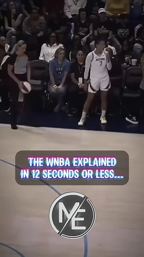 The WNBA EXPLAINED... #wnba #sarcasm #funny #comedy #humor | Matt Eubanks