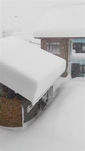 #heavysnowfall fall: #Raiyar #Doothpathri Received around 4 feet fresh snowfall during last 24hrs | JK News Live