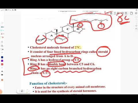 Cholesterol Structure and biosynthesis