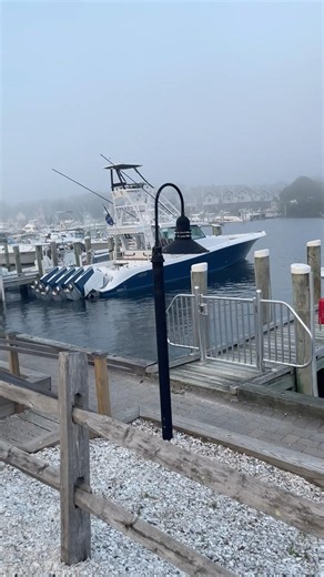 More Boats Every Day at Falmouth Harbor 🚤☀️ #falmouth #boatingseason #boatlife