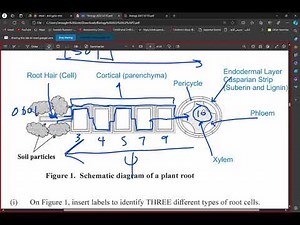 Biology Unit 2 2022 Past Paper: Module 2