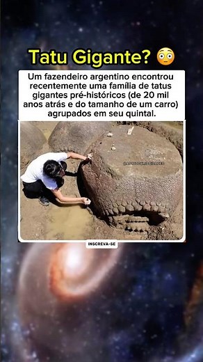 Fazendeiro encontra tatus gigantes de 20.000 anos!