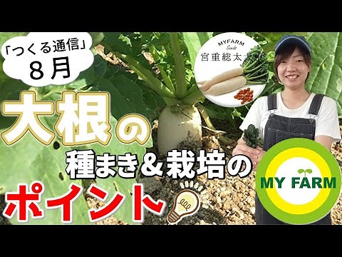 大根の育て方を徹底解説！種まきから収穫タイミングまで【8月つくる通信】
