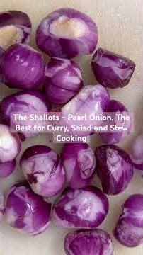 The Shallots - Pearl Onion. The Best for Curry, Salad and Stew Cooking