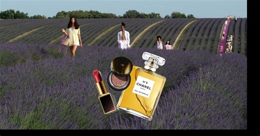 La mode de toute beauté !