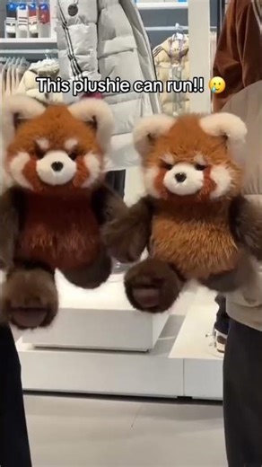 Omggg red panda 🥹 #redpanda #plushies #plushtoys