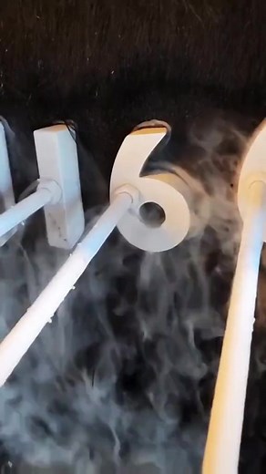 77K views · 633 reactions | Freeze branding is done for identification purposes on our Ranch. It alters the hair follicle and turns the hair white. #animalsofinstagram #animallovers #angusranch #ranch #ranchlife #calves #bulls #cow #ranching | 1HandnFarming | Facebook