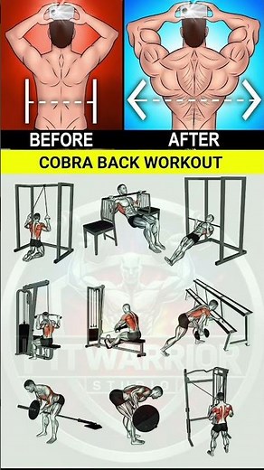 9 Back Exercises to Target Every Muscle | Fitness Tips