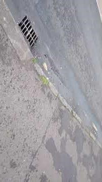 The tip to Driving with First Bus