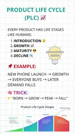 Product Life Cycle Explained