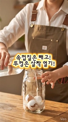 시들어가는 식물 살리는 '0원' 천연 영양제 만들기! #식물영양제#달걀껍질 #천연영양제만들기#shorts