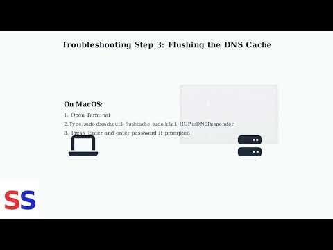 How To Fix Verizon FiOS Network Connection Error – DHCP, DNS & Router Reboot