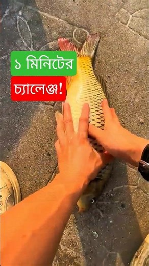 ⏱️ Will I Lose the 1-Minute Fishing Challenge Today? 🎣😱🐟 #shorts #fish #chellenge