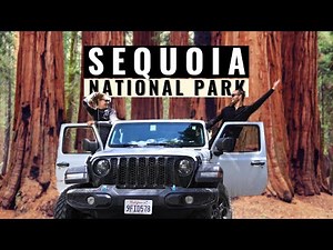 What if You Could Experience Sequoia National Park in ONE DAY?