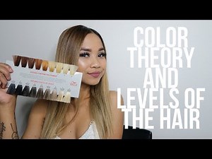 HOW TO UNDERSTAND COLOR THEORY & LEVELS OF THE HAIR.