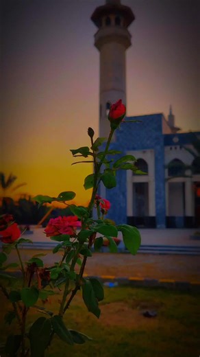 Quran recitation #quran #islamic