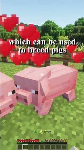How To Breed Pigs In Minecraft #minecraft #minecraftguide #minecrafthowto #minecrafttips
