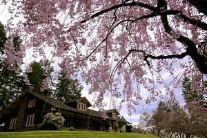 Get spring in full swing with these plant sales, workshops and tours